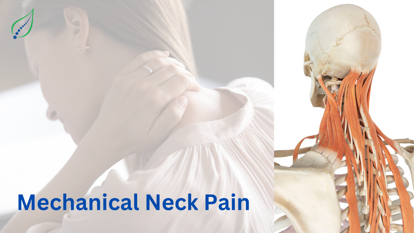 Mechanical Neck Pain